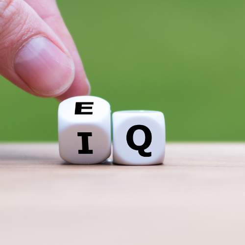 Developing our Emotional Intelligence (2 PDCs)